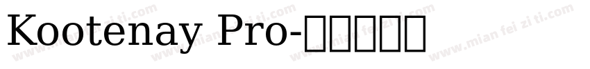 Kootenay Pro字体转换